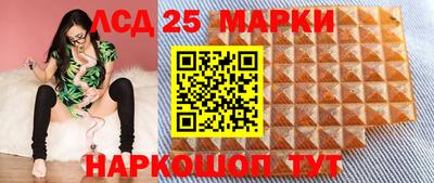 СК Кандалакша