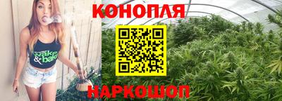 СК Кандалакша