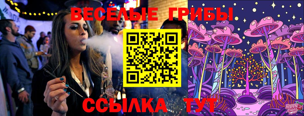 Тверь  сколько стоит  Вход с VPN  Псилоцибиновые грибы MAGIC MUSHROOMS  Псилоцибиновые грибы Psilocybe 